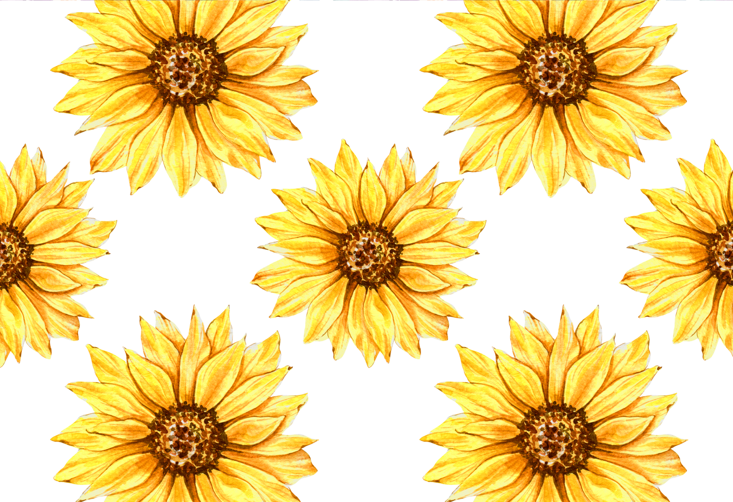 Flowers #5258