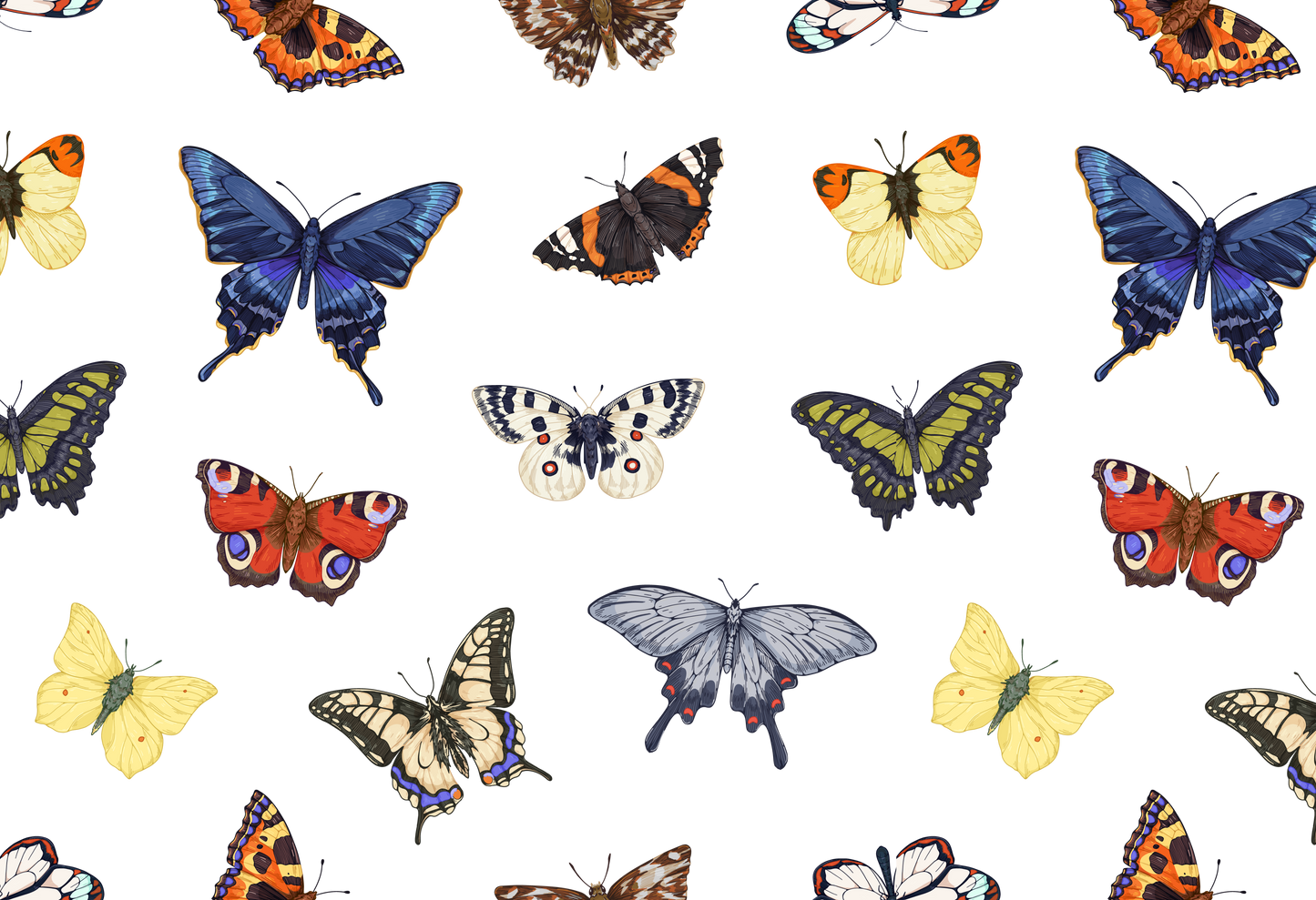 Butterflies #1017