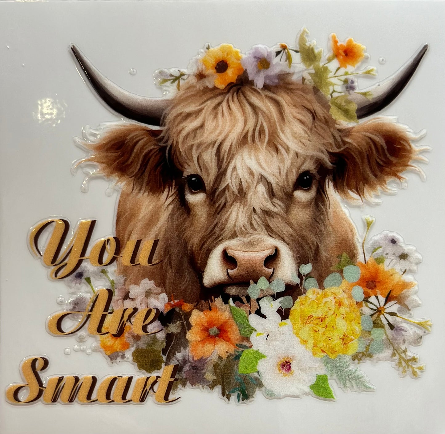 Cow #1811