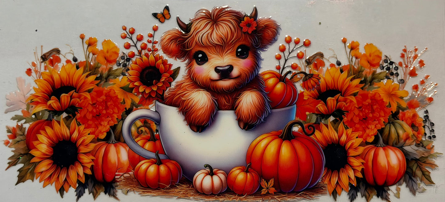 Fall #7007