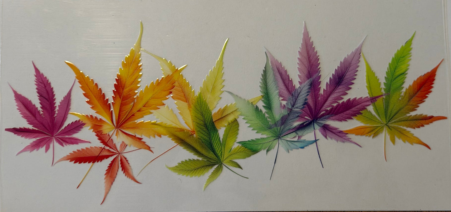 Buds #970
