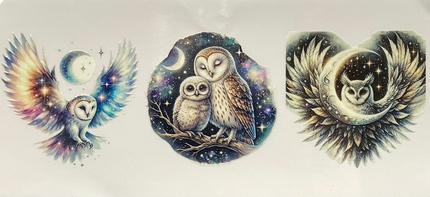 Owls #2908