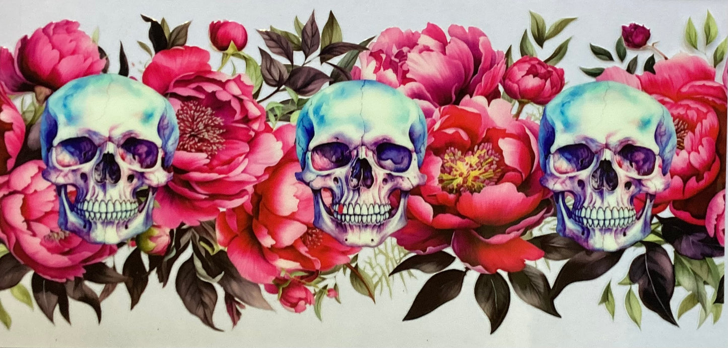 Skulls #3817