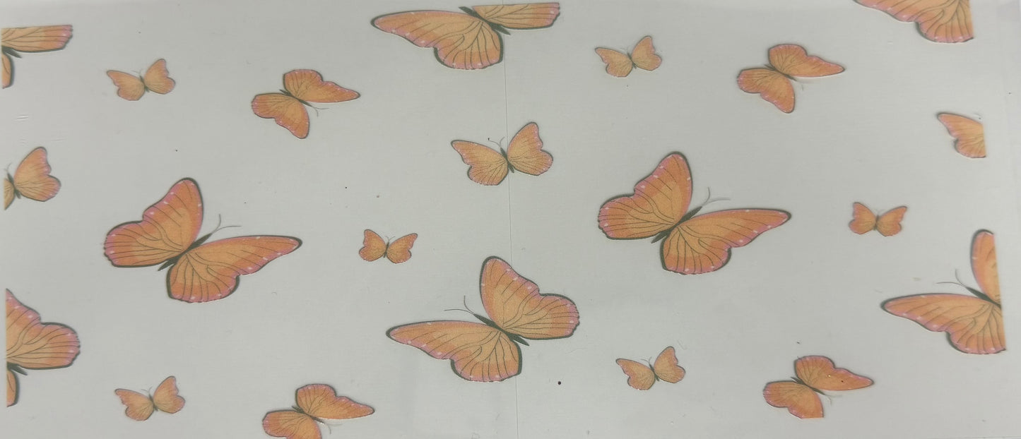 Butterflies #1027