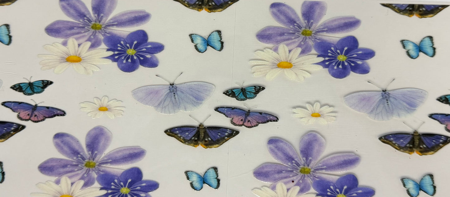 Butterflies #1029