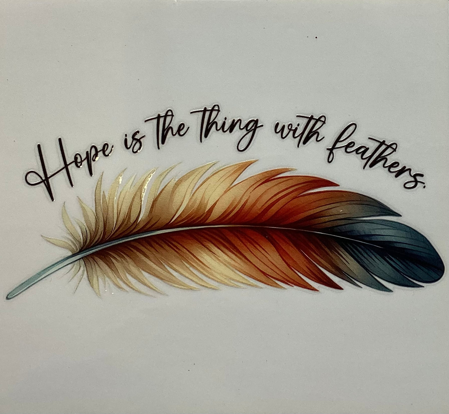 Feathers #5011