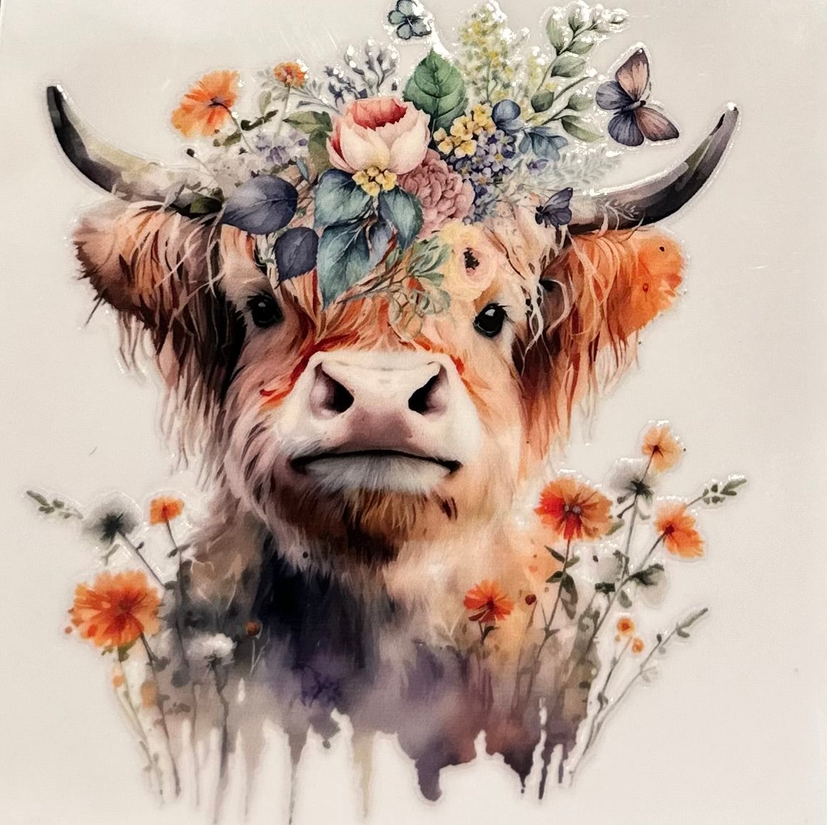 Cow #1805