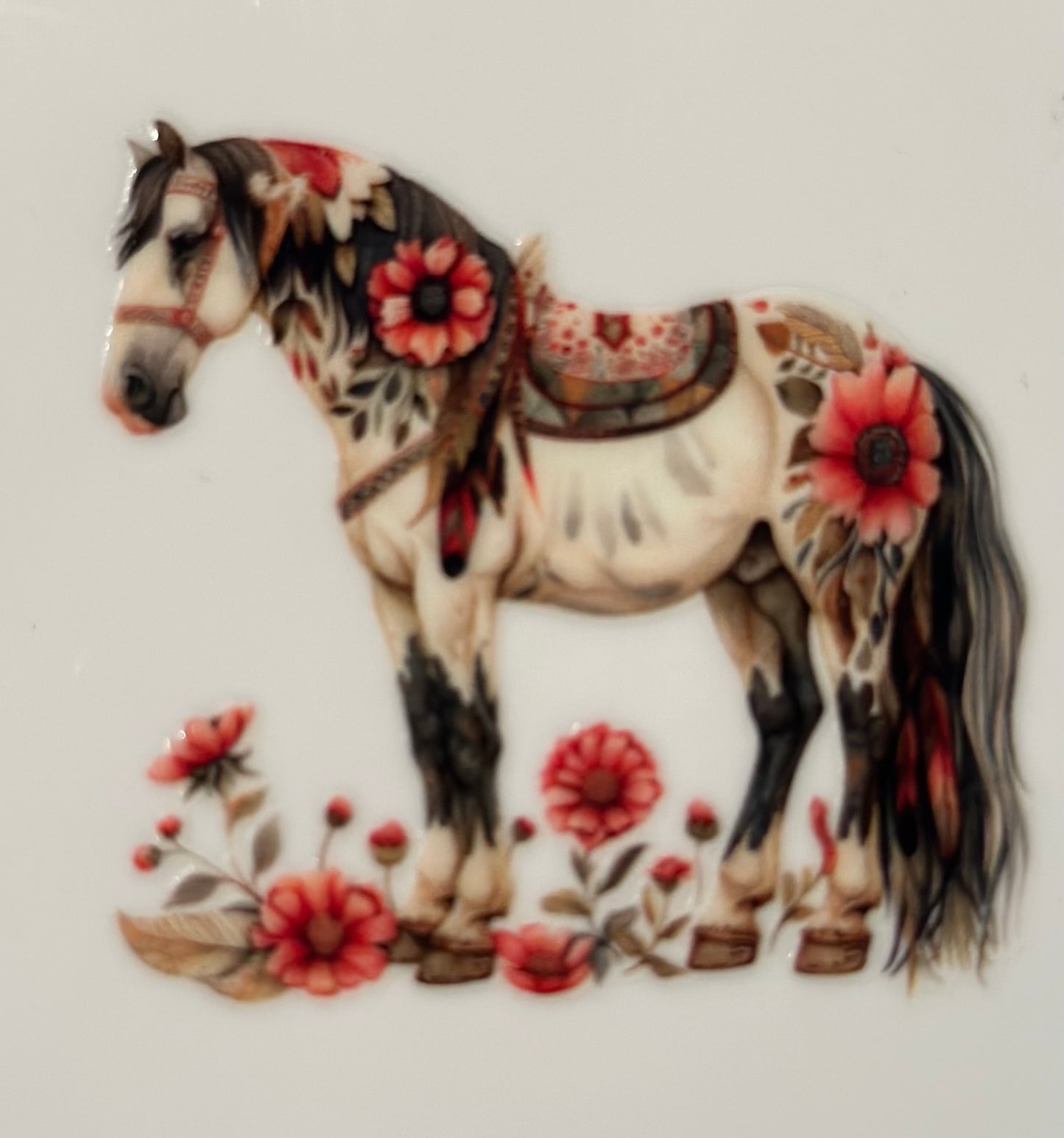 Western #4828