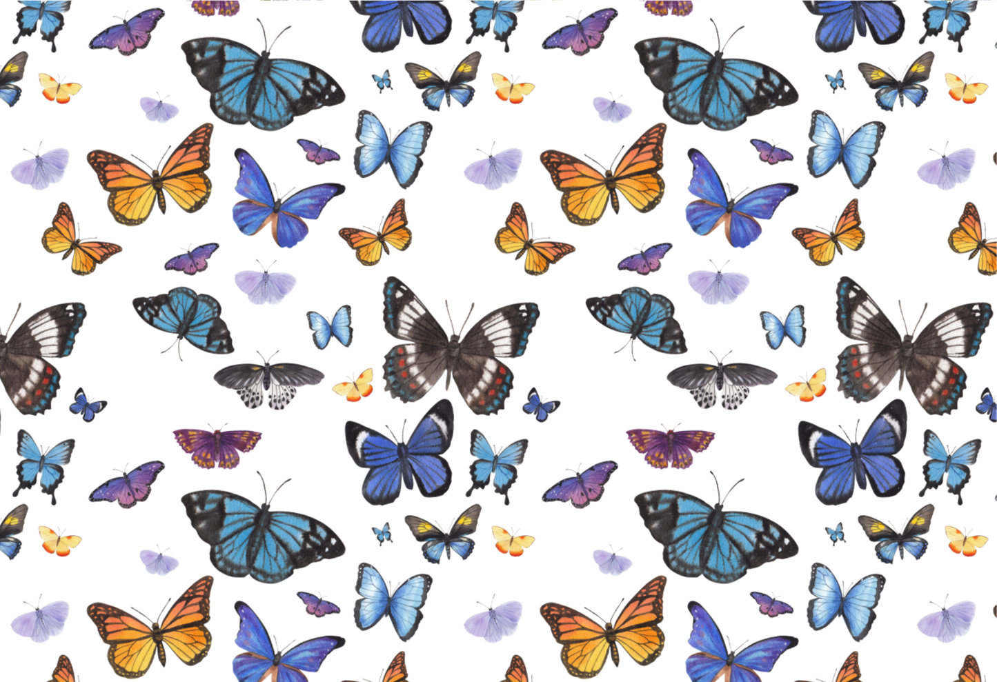Butterflies #1020