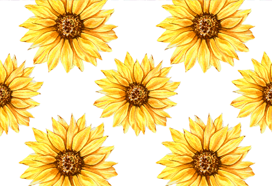 Flowers #5258
