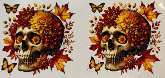 Skulls #3829