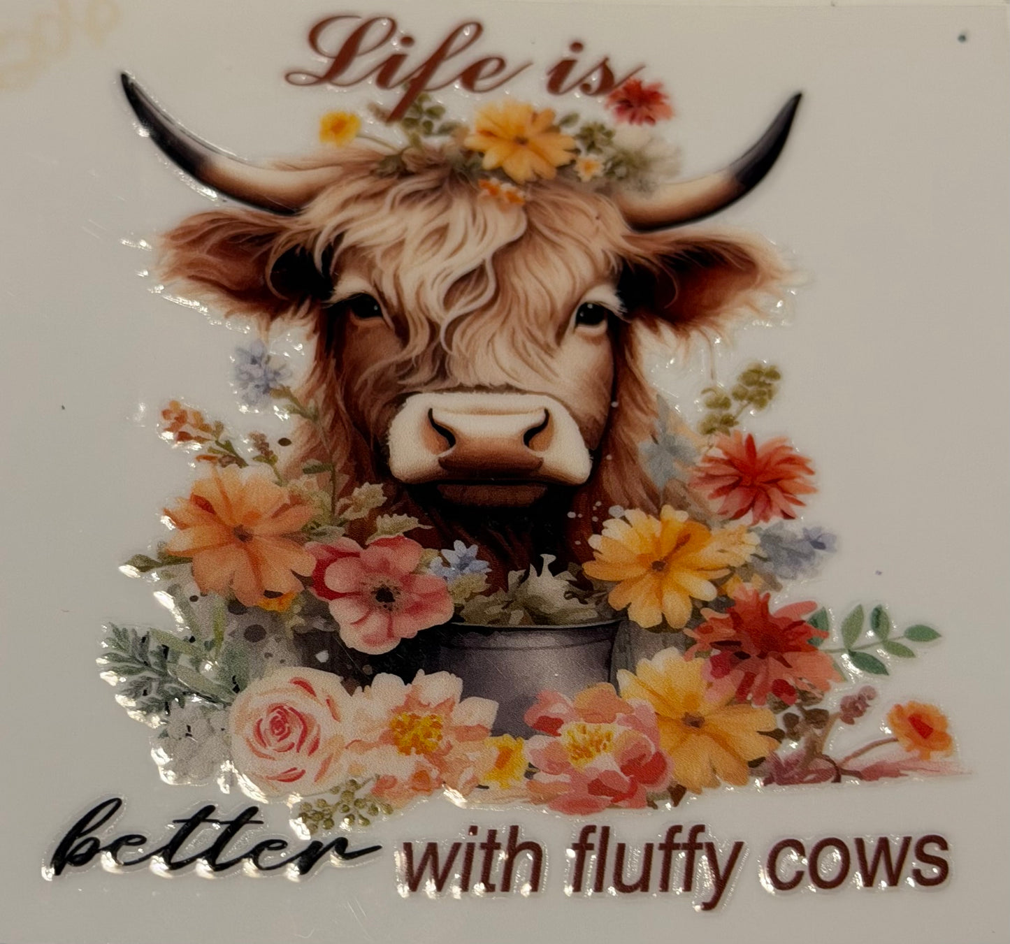 Cow #9802