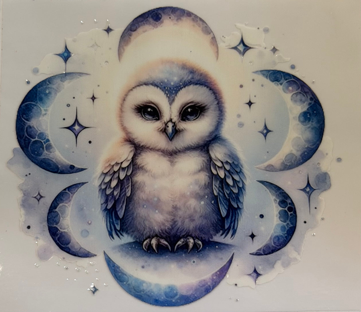 Owl #2901