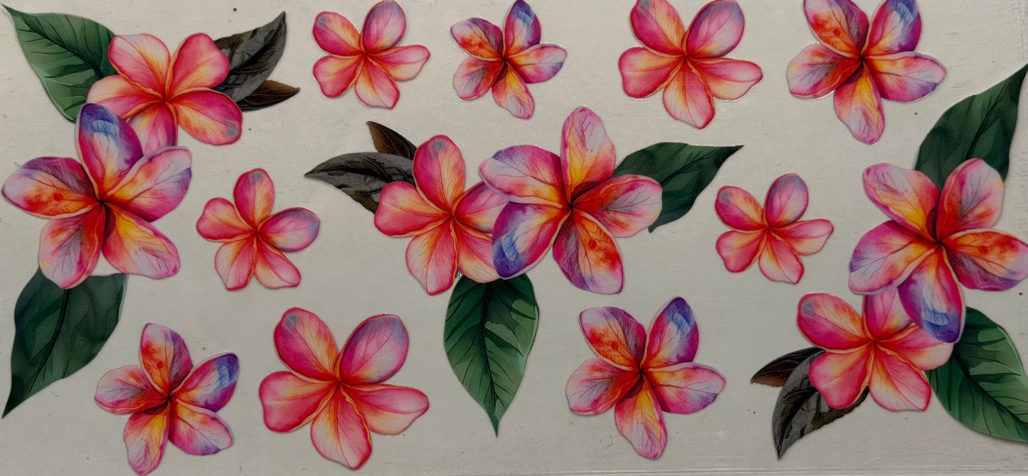 Flowers #5253