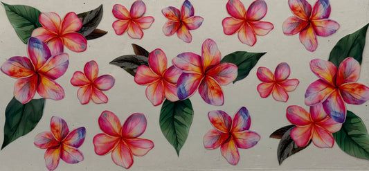 Flowers #5253