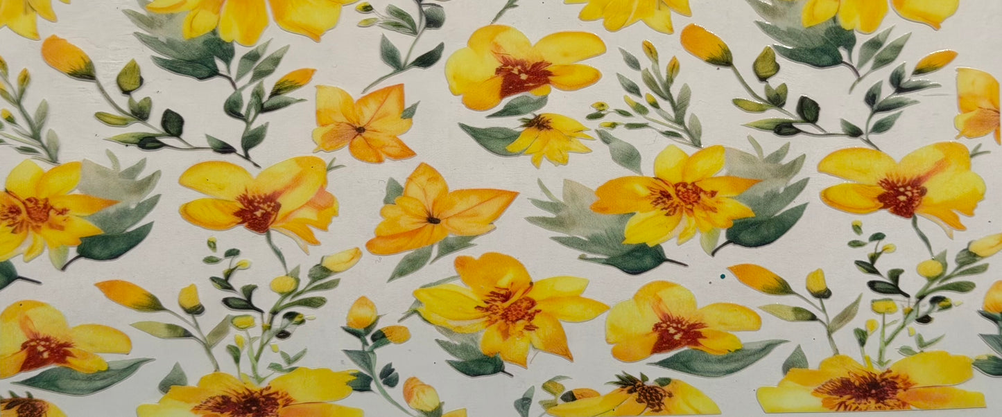Flowers #5252