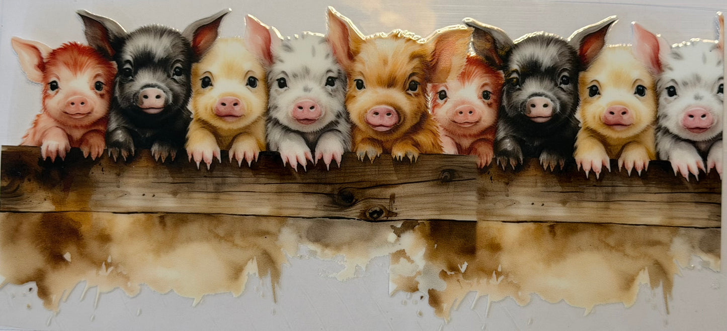 Pigs #3211