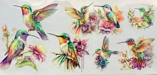 Animals #208