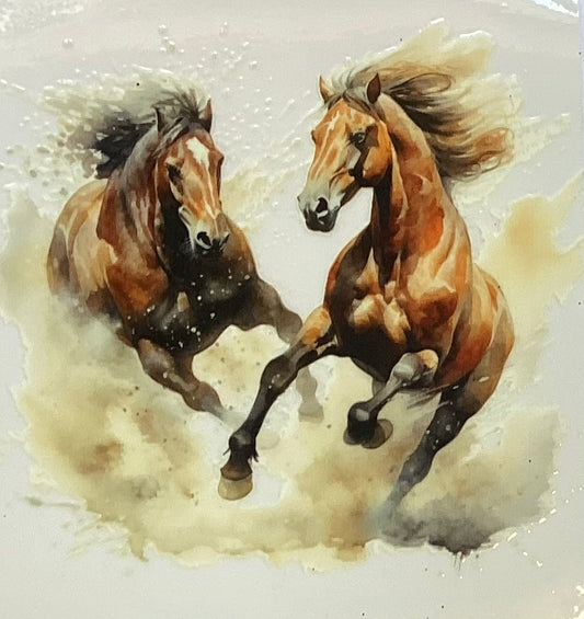 Animals #212