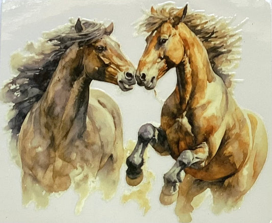 Animals #216