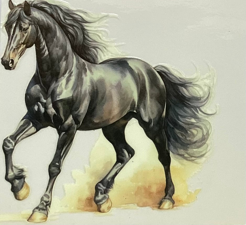 Animals #215