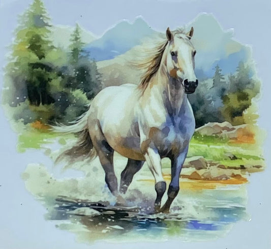 Animals #214