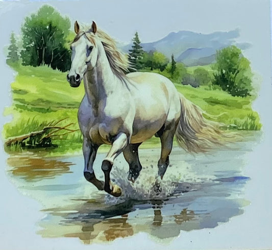 Animals #213