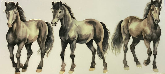 Animals #218