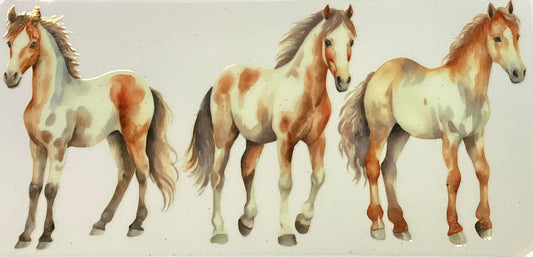 Animals #217