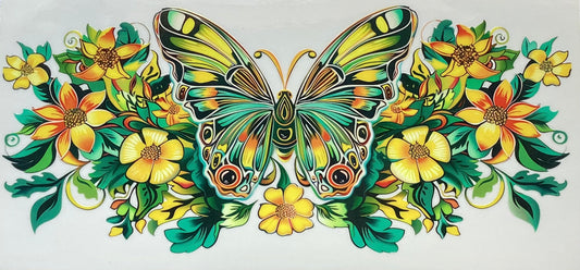 Butterfly #1013