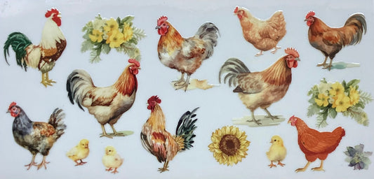 Chickens #1505