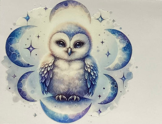 Owls #2401