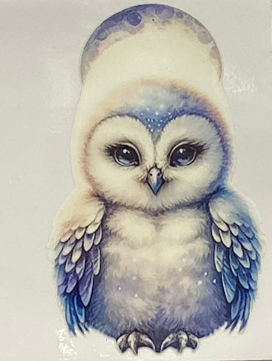 Owls #2902