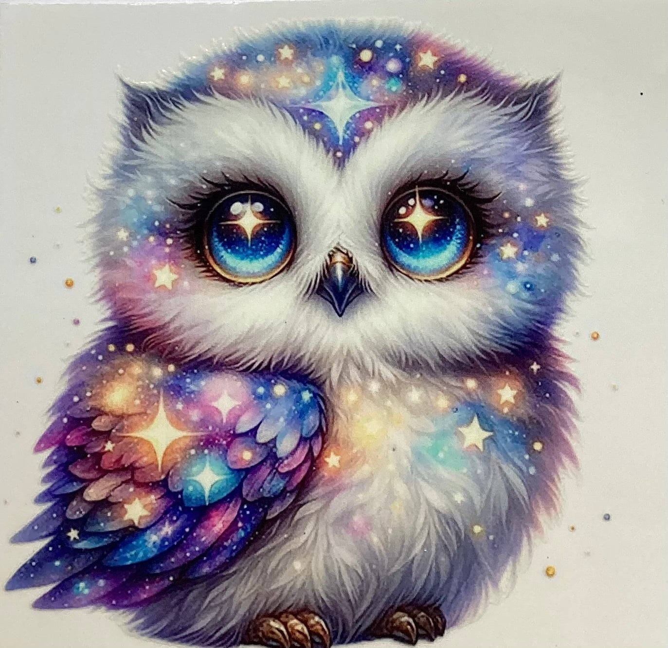 Owls #2903
