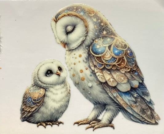 Owls #2904