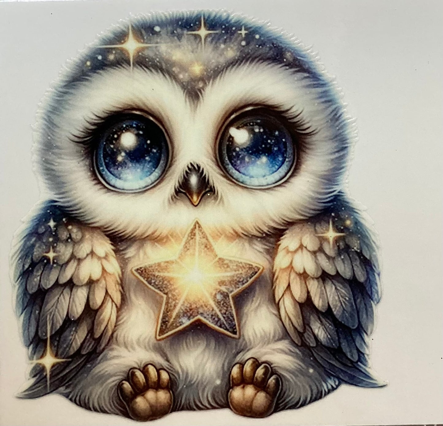 Owls #2905