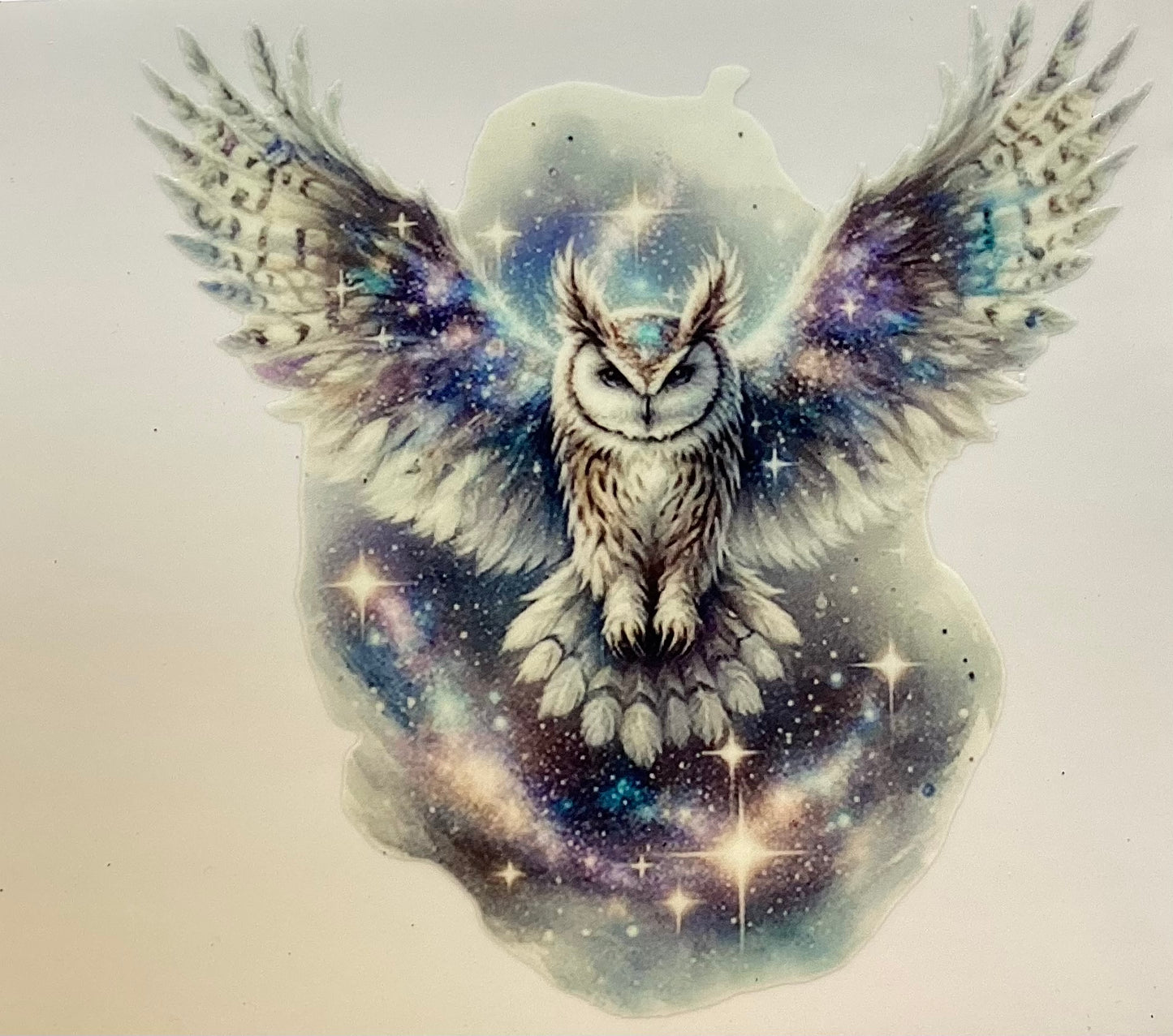 Owls #2906
