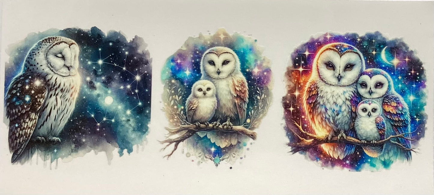 Owls #2907
