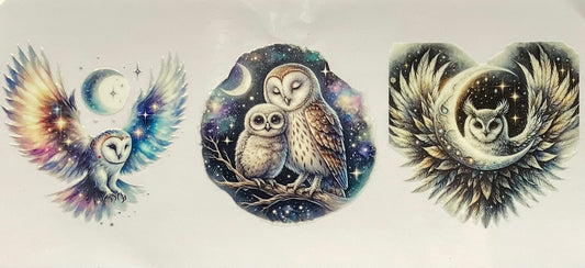 Owls #2908