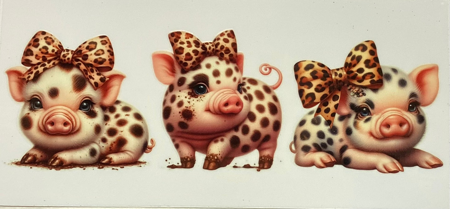 Pigs #3209