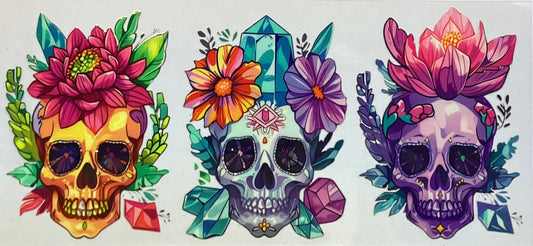 Skulls #3815
