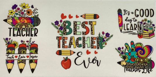 Teacher #4305
