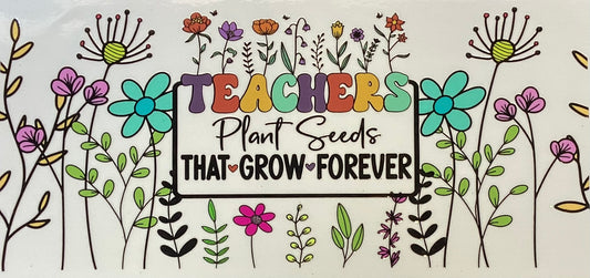 Teacher #4313