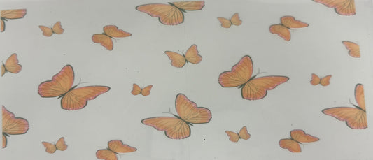 Butterflies #1027