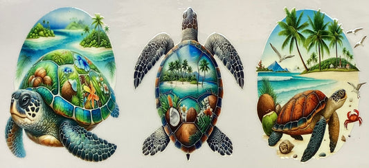 Turtles #4502