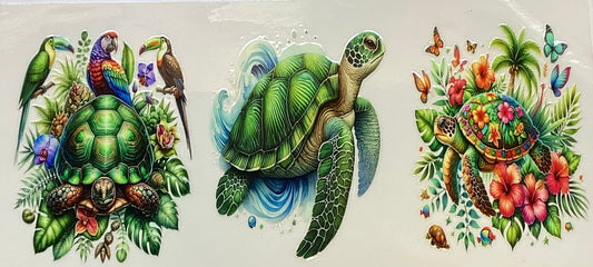 Turtles #4503