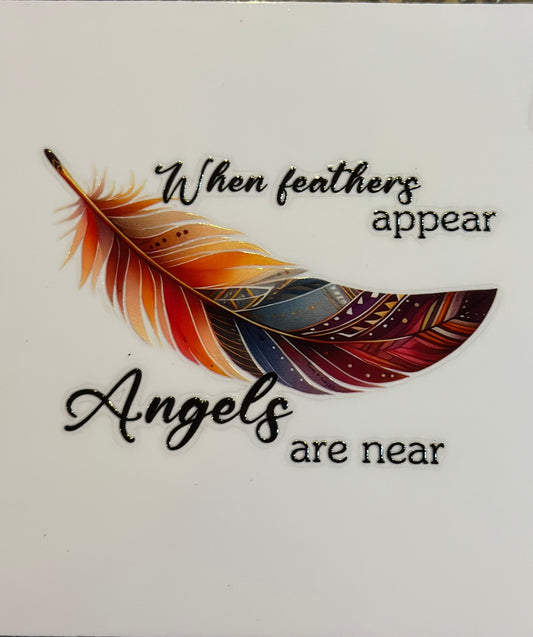 Feathers #5002