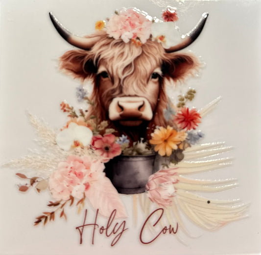 Cow #1801