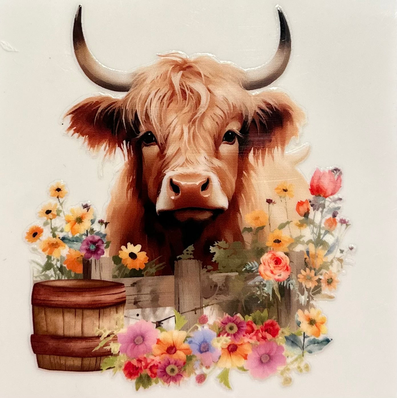 Cow #1812