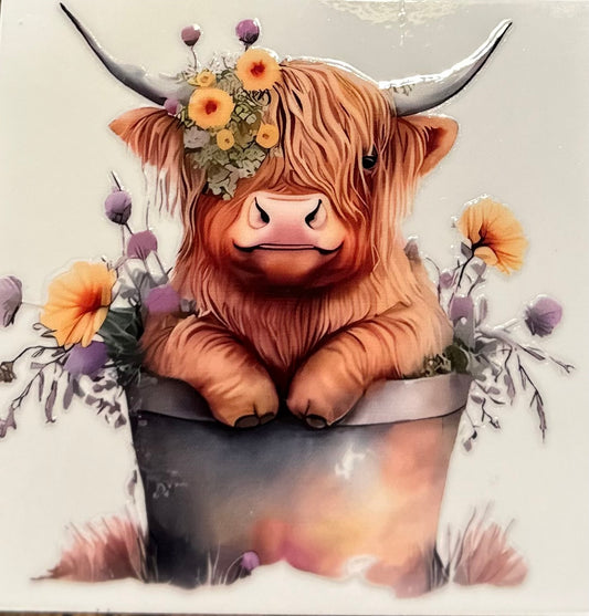 Cow #1804